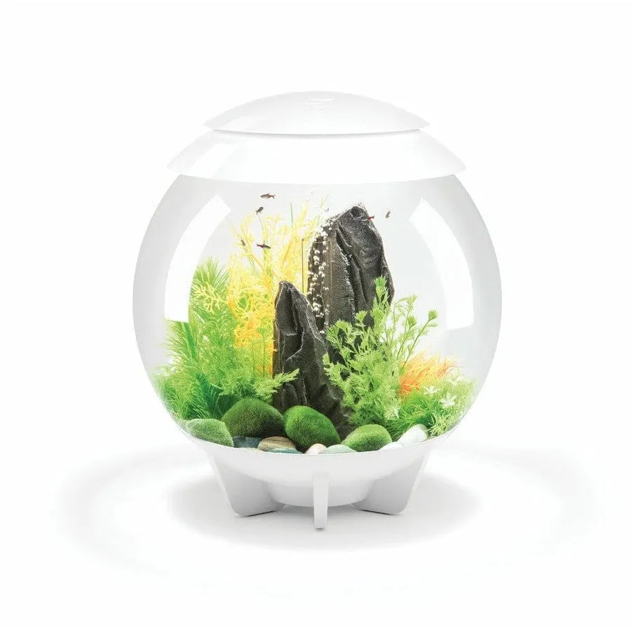 biOrb HALO  30 MCR white-30L