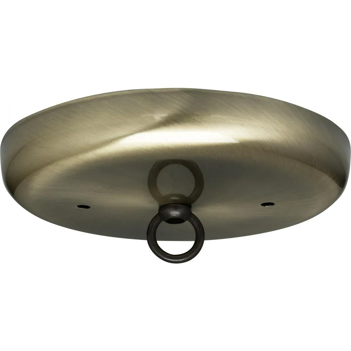 Canopy Kit in Antique Brass Finish by Satco