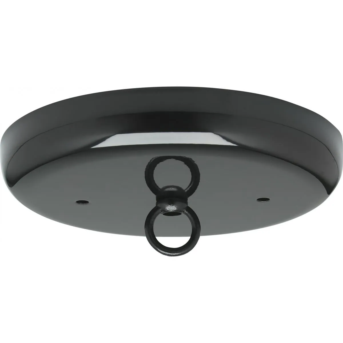 Canopy Kit in Black Finish by Satco